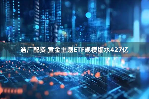 浩广配资 黄金主题ETF规模缩水427亿